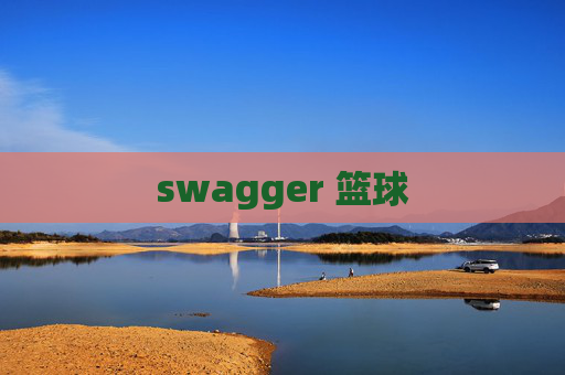 swagger 篮球 swagger 篮球